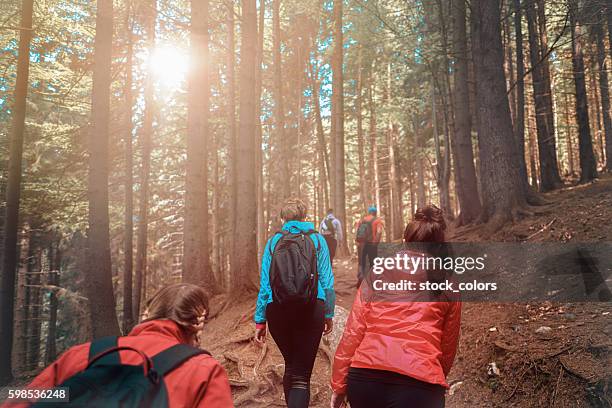 hikers exploring the forest - hiking five people sunset stock pictures, royalty-free photos & images
