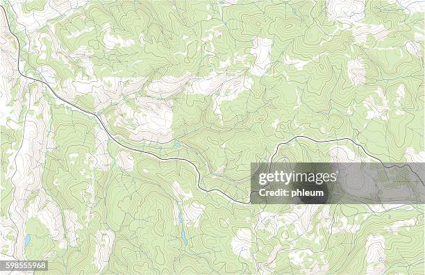 stockillustraties, clipart, cartoons en iconen met topographic map with forest and streams - topografische kaart
