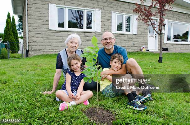 family planting a tree on front yard - family planting tree stockfoto's en -beelden