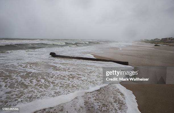 Fallen palm tree washes ashore on the deserted St George Island beach as the wind and storm surge from Hurricane Hermine pound the beach on September...