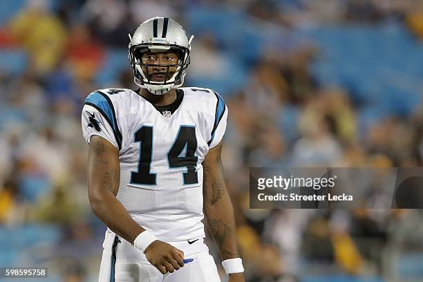 Joe Webb of the Carolina Panthers looks to the sideline between downs against the Pittsburgh Steelers in the 1st quarter during their game at Bank of...