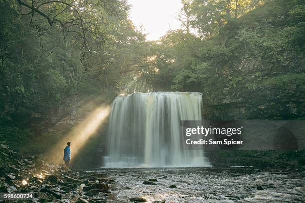 Sam Waterfall 1,190 Sam Beck Stock Photos, High-Res Pictures, and Images - Getty Images