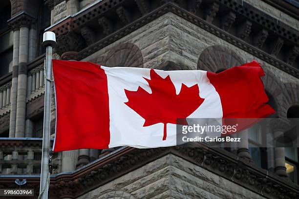 canada flag on parliament - canadese cultuur stockfoto's en -beelden