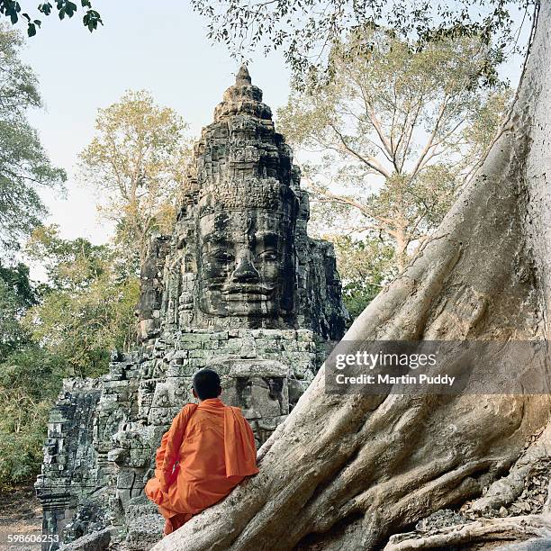 buddhist monk sitting on tree roots at angkor wat - angkor wat stock-fotos und bilder