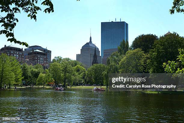 boston commons - boston common stock pictures, royalty-free photos & images