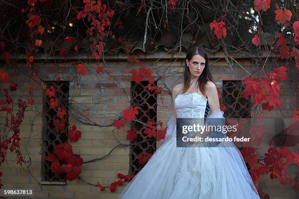 the bride with red ivy - poison oak fotografías e imágenes de stock