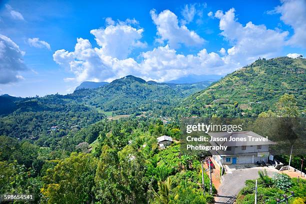 view over a tea plantation - ella sri lanka stockfoto's en -beelden