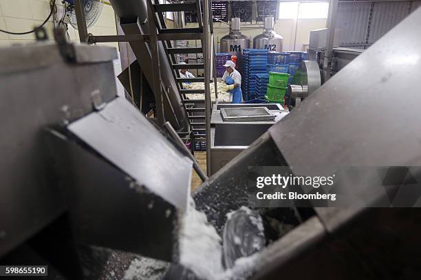 Employees prepare to place chunks of coconut into a grinder at a coconut grinding station of a Merit Food Products Co. Coconut milk factory in...