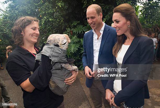 Prince William, Duke of Cambridge and Catherine, Duchess of Cambridge visit the Eden Project in Cornwall on September 2, 2016 near St Austell,...