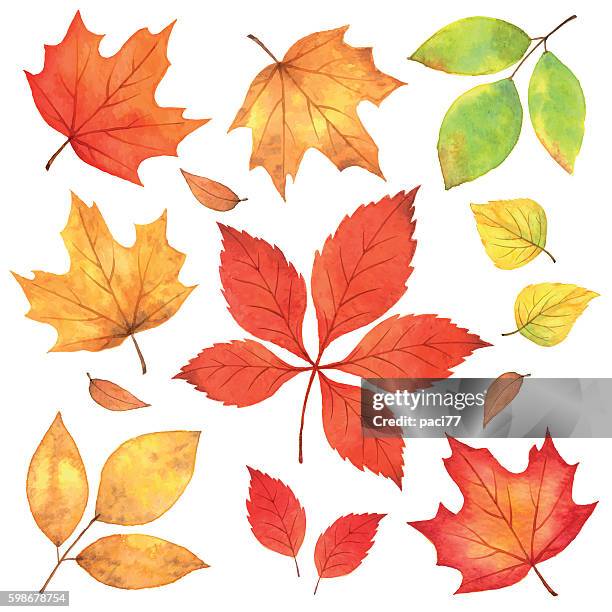 ilustraciones, imágenes clip art, dibujos animados e iconos de stock de hojas de otoño en acuarela - automne