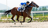 Horse racing in Pyatigorsk