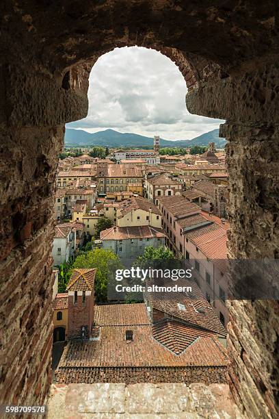 vista da torre dei guinigi lucca toscana - lucca foto e immagini stock