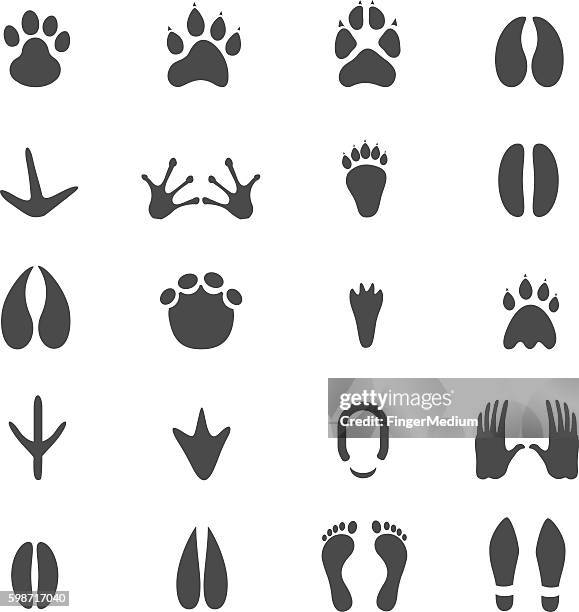 footprints symbol-set - fuchs spuren stock-grafiken, -clipart, -cartoons und -symbole