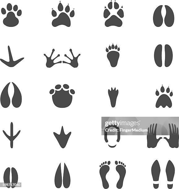 bildbanksillustrationer, clip art samt tecknat material och ikoner med footprints icon set - tapir
