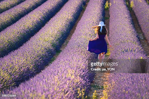 young woman in the lavander field - plateau de valensole stock pictures, royalty-free photos & images
