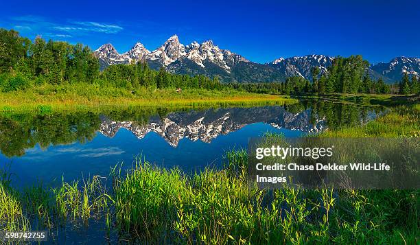 mountain fairytale - yellowstone national park stock pictures, royalty-free photos & images