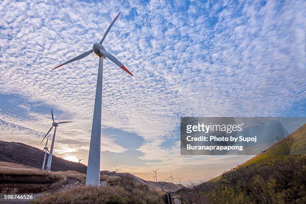 wind power generation - wide angle ストックフォトと画像