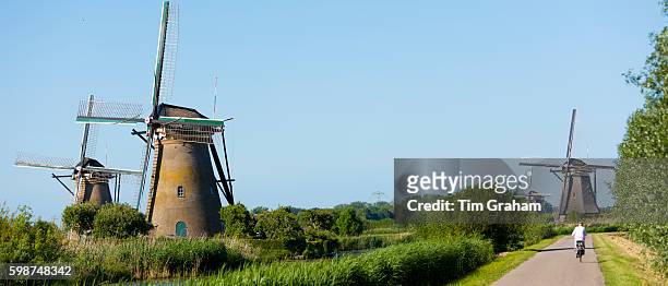 Cyclist passes group of authentic windmills at Kinderdijk UNESCO World Heritage Site, The Netherlands.