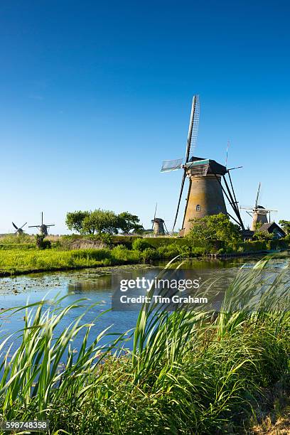 Group of authentic windmills at Kinderdijk UNESCO World Heritage Site, polder, ducks on dyke, Netherlands. , The Netherlands