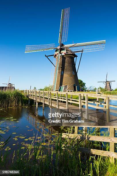 Walkway to group of authentic windmills at Kinderdijk UNESCO World Heritage Site, polder, ducks on dyke, Netherlands.