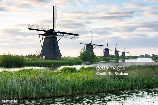 Group of authentic windmills early morning at Kinderdijk UNESCO World Heritage Site, polder, dyke, The Netherlands.