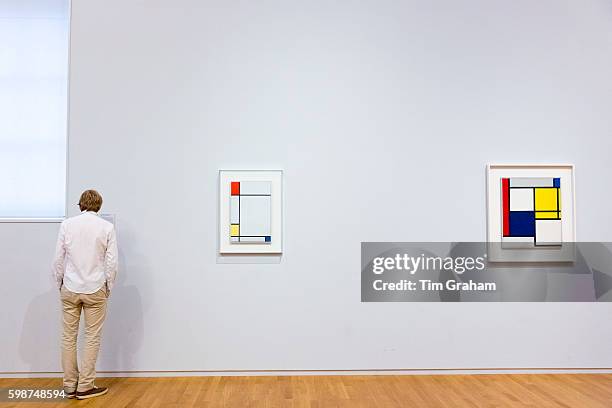 Man views Piet Mondrian oil on canvas paintings in 20th Century Gallery at Rijksmuseum, Amsterdam.