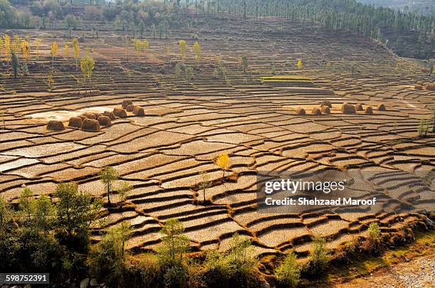 Battagram 50 Battagram Stock Photos, High-Res Pictures, and Images - Getty Images