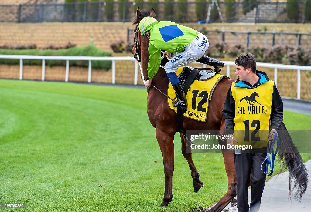 Quest Moonee Valley Handicap