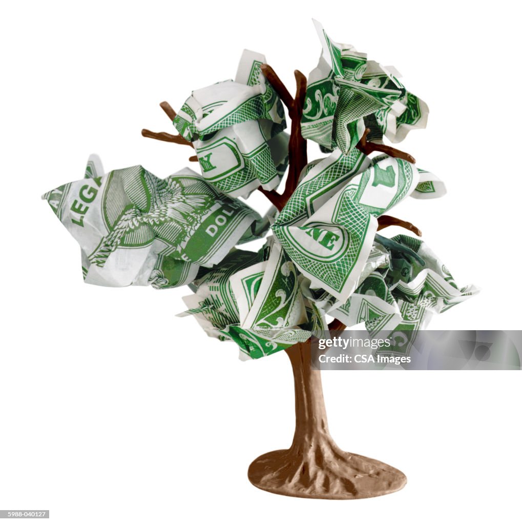 Toy Money Tree