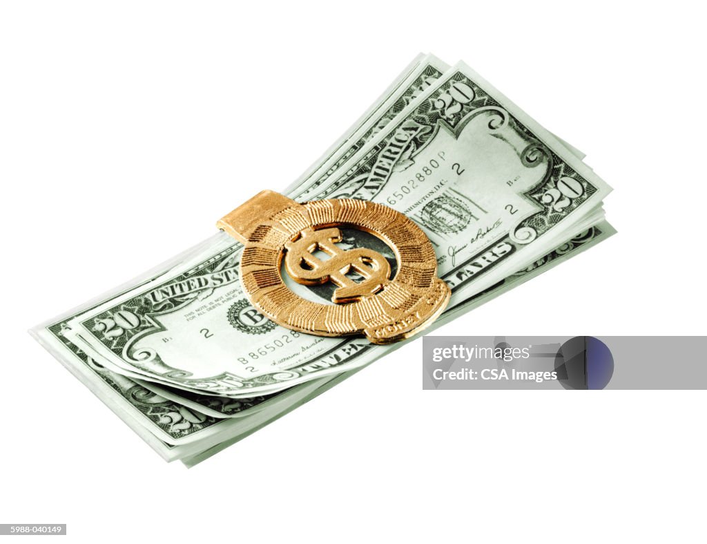 20 Dollar Bills in Money Clip