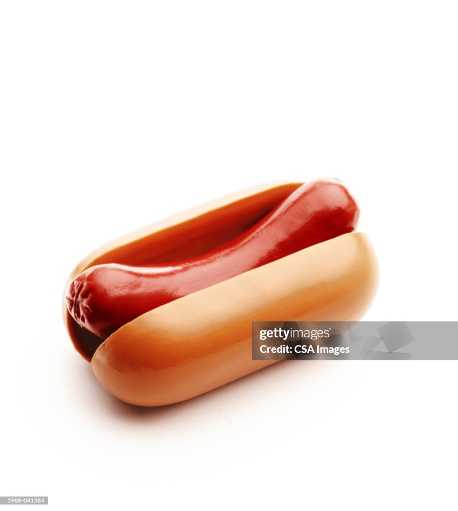 Toy Hot Dog in Bun