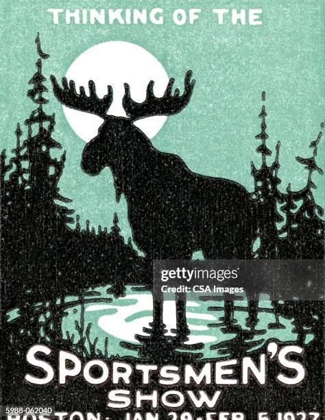 moose poster - herbivorous stock illustrations