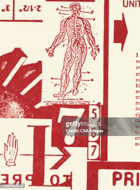 Human Numbers 2 Human Number High Res Illustrations - Getty Images