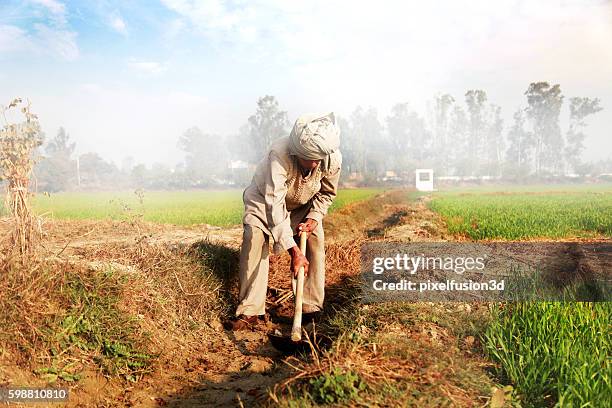 agricultor trabalhando no campo - enxada-equipamento-de-jardinagem - fotografias e filmes do acervo