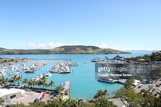hamilton island - hamilton island stock pictures, royalty-free photos & images