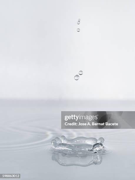 drops in a row on impact on a calm water supercie - slime bildbanksfoton och bilder