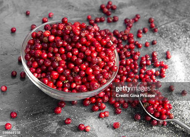 red cranberries. - cramberry stock-fotos und bilder