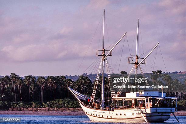 Duvuloco 161 Mr V Savu Stock Photos, High-Res Pictures, and Images - Getty Images