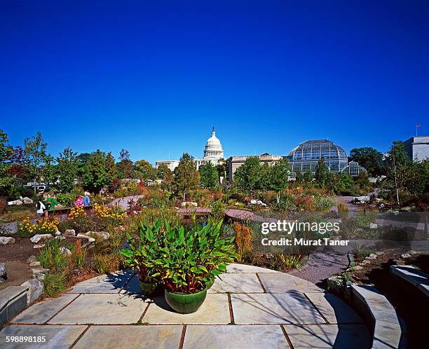 us botanic garden and capitol building - us botanic garden stock-fotos und bilder