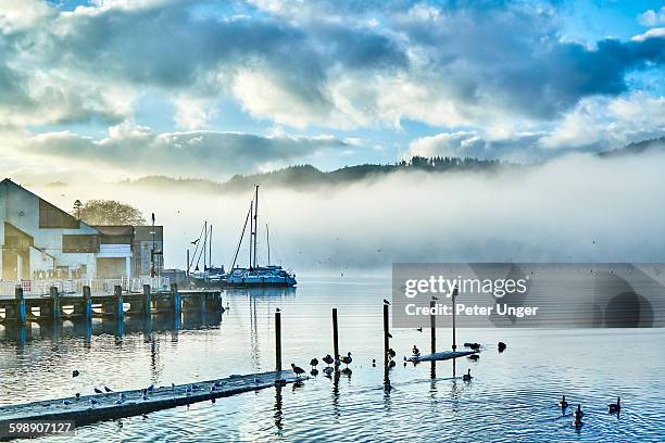 early morning mist on lake windermere - lake windermere foto e immagini stock