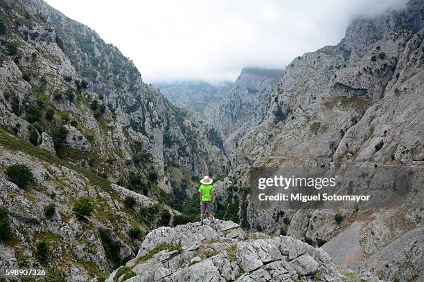 the cares route - ravine stock pictures, royalty-free photos & images