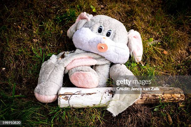 left behind - broken toy stock pictures, royalty-free photos & images