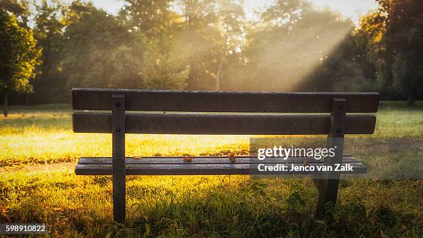garden bench and sunrays - jenco van zalk stock pictures, royalty-free photos & images