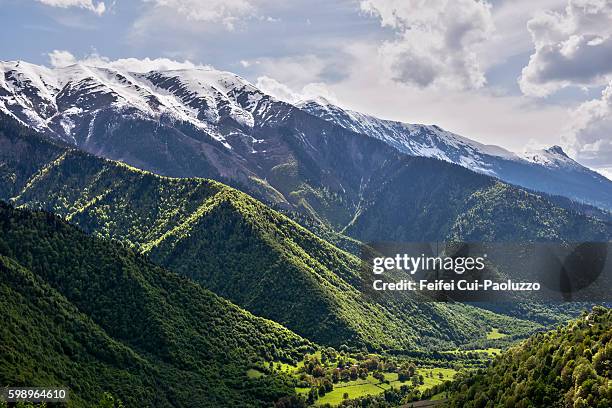 caucasian mountain valley of georgia - wildnisgebiet glacier peak stock-fotos und bilder