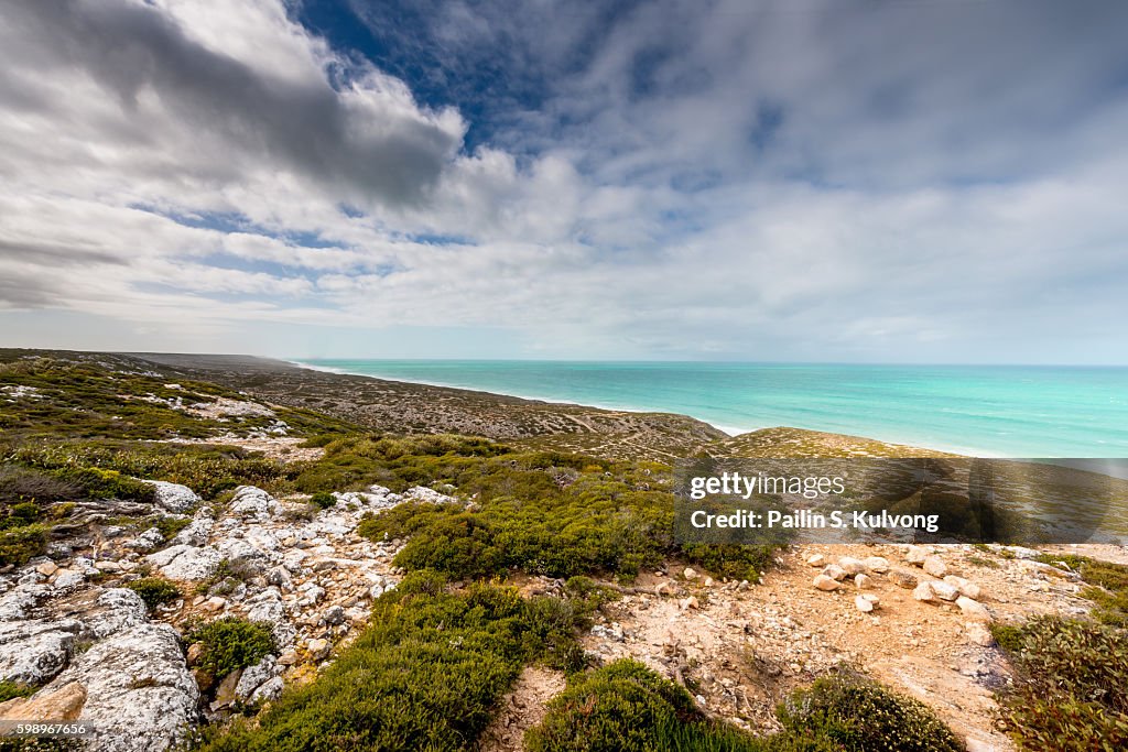 Nullarbor Nullarbor Plain National Reserve South Australia Australia High-Res ...
