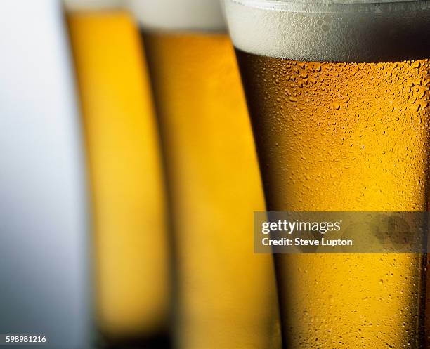 three tall glasses of beer - lager stock pictures, royalty-free photos & images