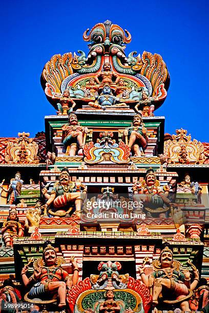 temple details - sri meenakshi hindu temple stock pictures, royalty-free photos & images