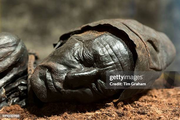 Ancient bronze statue of Tollund Man, bog body from the Iron Age, at the Museum Silkeborg in Denmark