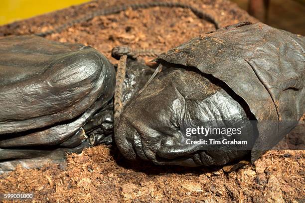 Ancient bronze statue of Tollund Man, bog body from the Iron Age, at the Museum Silkeborg in Denmark