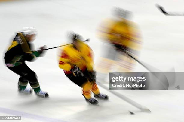 Match between Spain and South Africa, corresponding to the fourth day of Group B of the World Ice Hockey match at the Ice Pavilion Jaca, on April 8,...